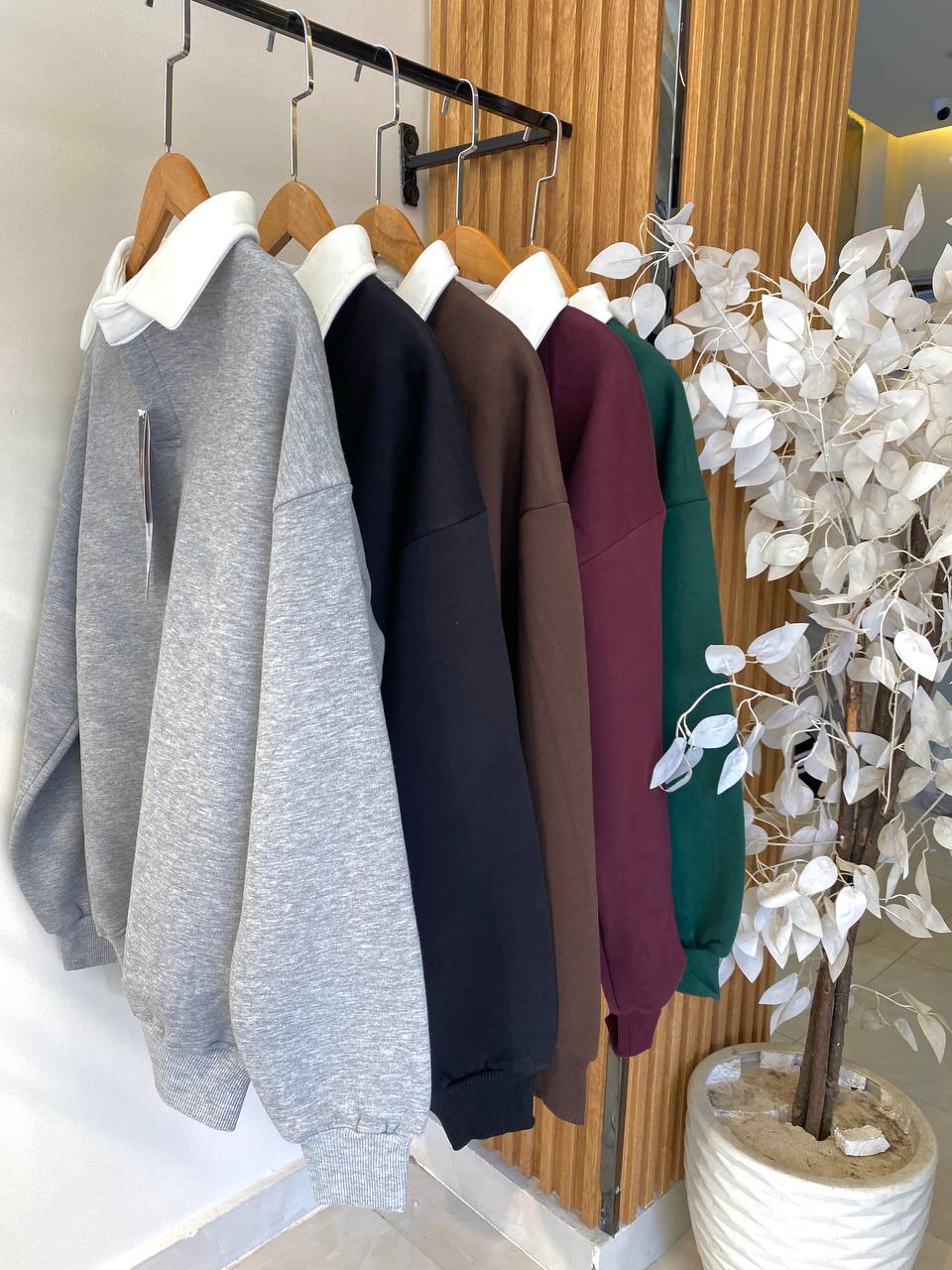 Classic Sweatshirt with White Collar